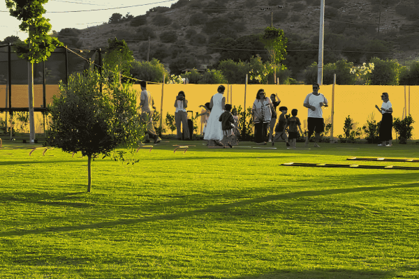 VEN WEB SITE IMAGES (14)